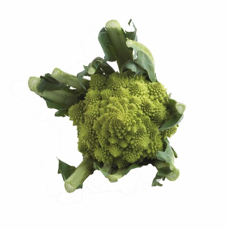 ROMANESCO PIECE (BEL / LOT 262008 / CAISSE DE 6 PIECES)