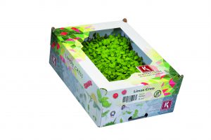 LEMON CRESS CAISSE (P-B / CAISSE DE 16 RAVIERS) (A COMMANDER 2 JOURS AVANT)