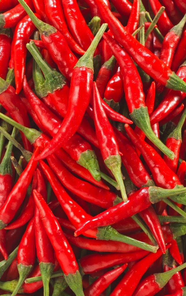 MINI PIMENTS ROUGES RAVIER (ESP / LOT 252411 / 100 GR)