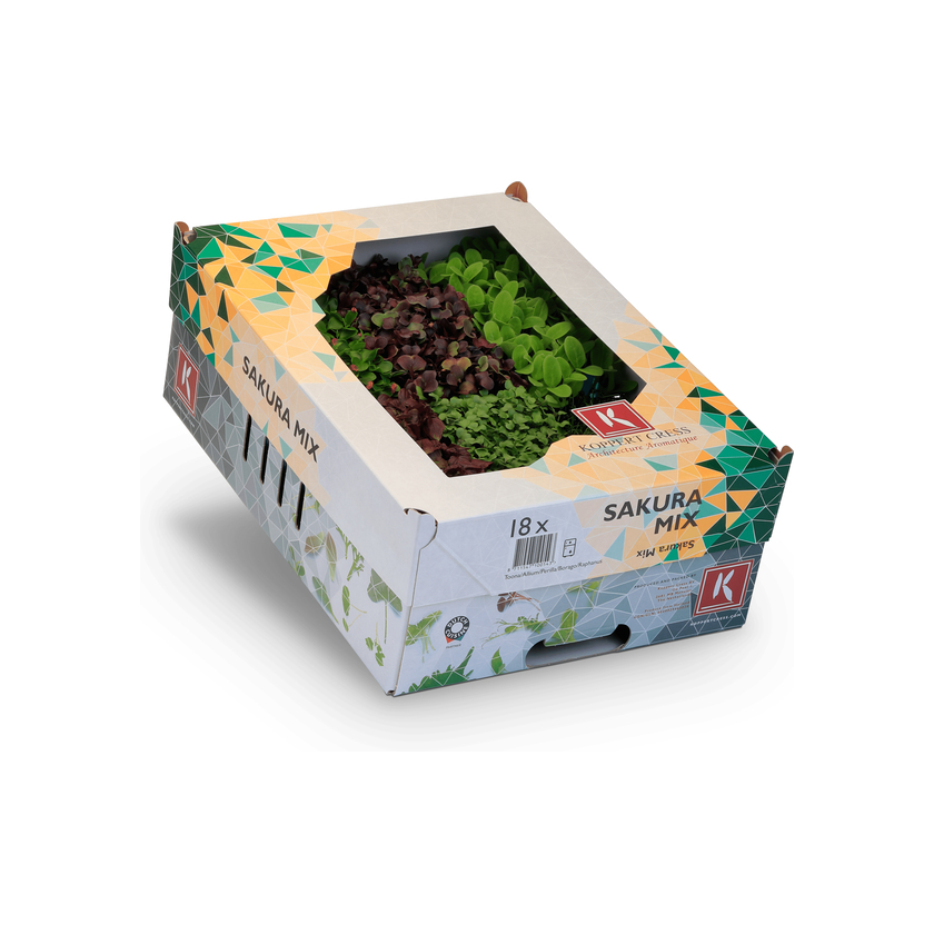 SAKURAS MIXTES CRESS CAISSE (NL / CAISSE DE 16 RAVIERS)