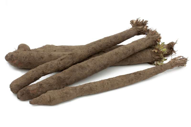 SALSIFIS KG (BEL / LOT 260303 / CAISSE DE 5 KG)