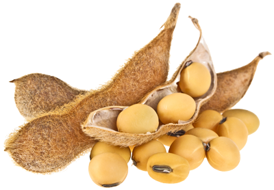 SOJA 200 GR