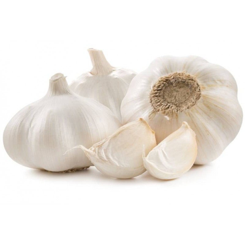 AIL FRAIS KG (FRANCE / LOT 262708 / CAISSE DE 5 KG)