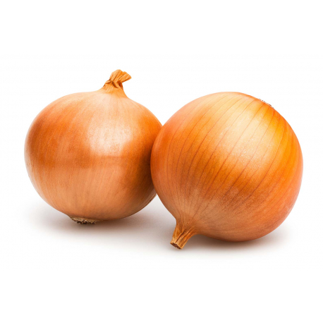 OIGNONS ESPAGNOL GROS KG (ESP / LOT 260408 / SAC DE 25 KG)