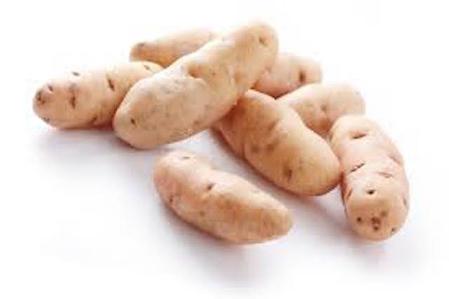 PDT CORNE DE GATTE CAISSE (LOT 250710 /CAISSE DE 5 KG)