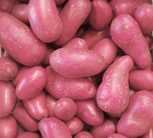 PDT FRANCELINE SAC (SPRIET / FRANCE / LOT 242602 / CAISSE DE 8 SACHETS DE 2.5 KG)