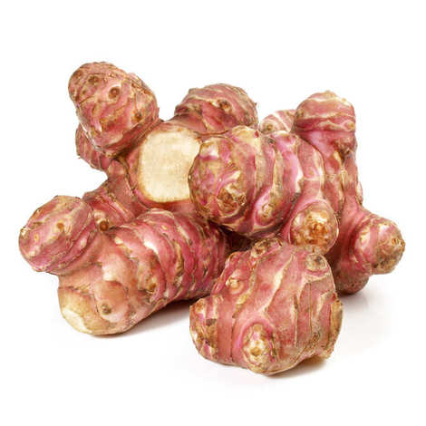 PDT TOPINAMBOUR CAISSE (FRANCE / LOT 262004 / CAISSE DE 5 KG)