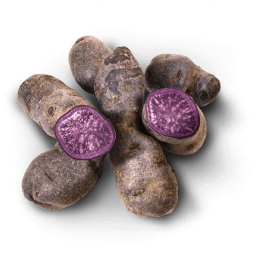PDT VITELOTTE CAISSE (FRANCE / LOT  261805 / CAISSE DE 5 KG)