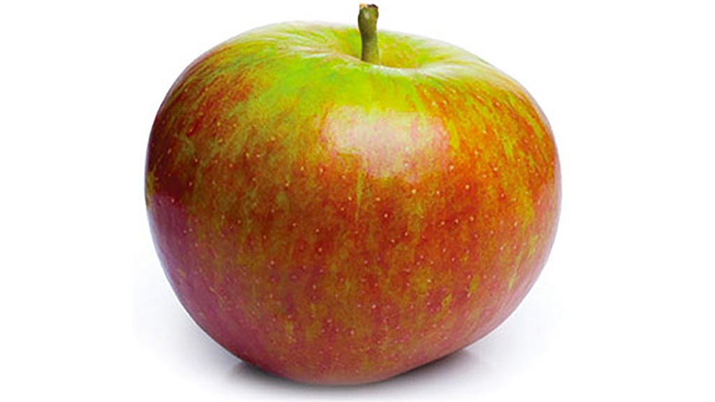 POMMES COX KG (BEL / LOT 262809 / 65/70 / CAISSE DE 11 KG)