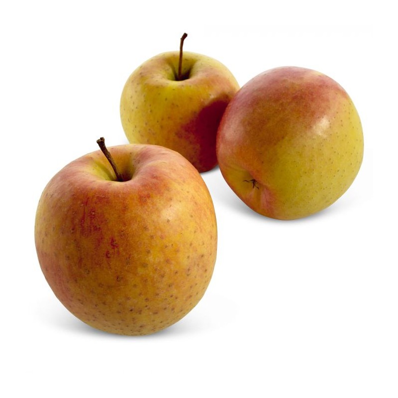 POMMES GOLDEN ROSEE CAISSE (ITALIE / LOT 262210 / CAISSE DE 4 KG)