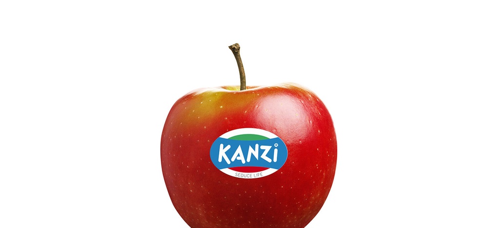 POMMES KANZI KG (BEL / LOT 260608)