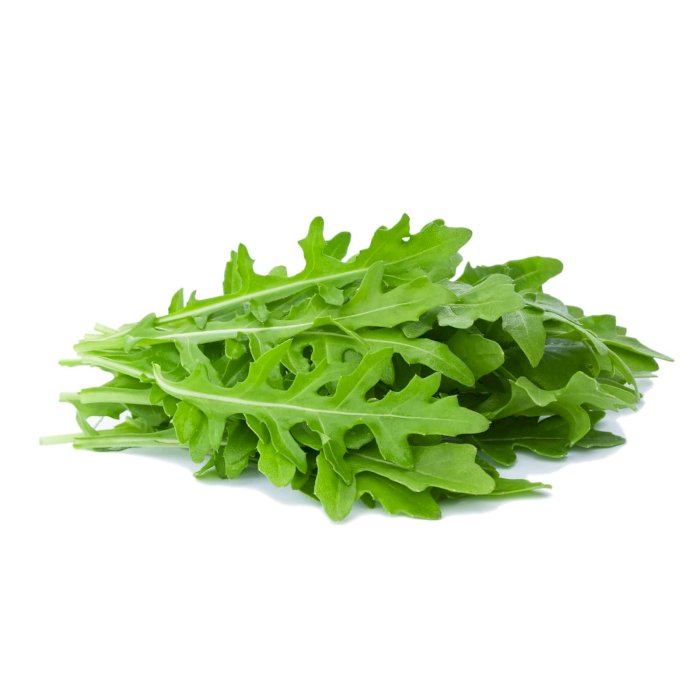 SALADE ROQUETTE RAVIER (MIOORTO / ITALIE / LOT 261008 / CAISSE DE 8 RAVIERS DE 100 GR)