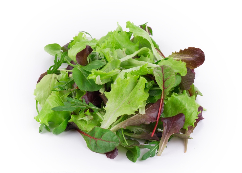 SALADE MESCLUN RAVIER (ITALIE / LOT 260408 / CAISSE DE 8 RAVIERS)