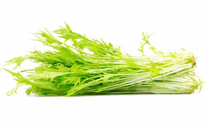 SALADE MITZUNA RAVIER DE 125 GR (ITALIE / LOT 262404)