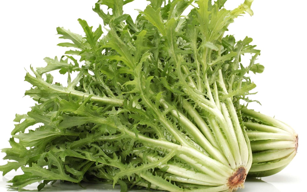 SALADE ENDIVE PIECE (ESP / LOT 260408 / CAISSE DE 10 PIECES)