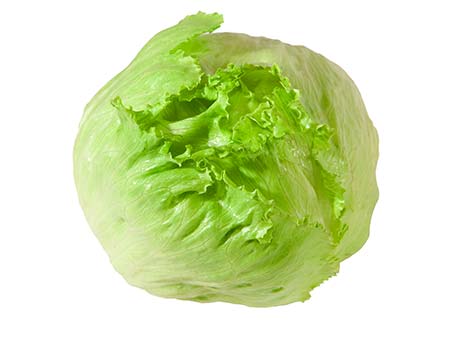 SALADE ICEBERG CAISSE (P-B / LOT 261008 / CAISSE DE 8 PIECES)