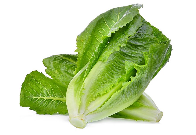 SALADE ROMAINE PIECE (ESP/ LOT 261203 / CAISSE DE 10 PIECES)