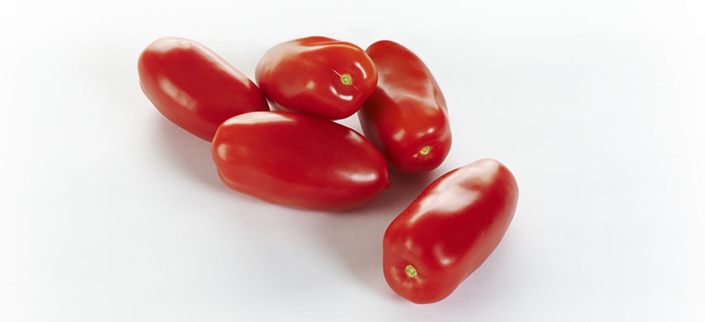 TOMATES MARZANO KG (BEL / LOT 262008 / CAISSE DE +- 4 KG)
