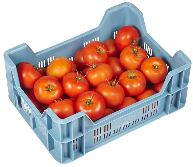 TOMATES A-AA CAISSE (CAT 1 / BEL / LOT 260608 / CAISSE DE 6 KG)