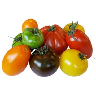 TOMATES SAVEUR D'ANTAN KG (BEL / LOT 261308 / CAISSE DE 3.5 KG)
